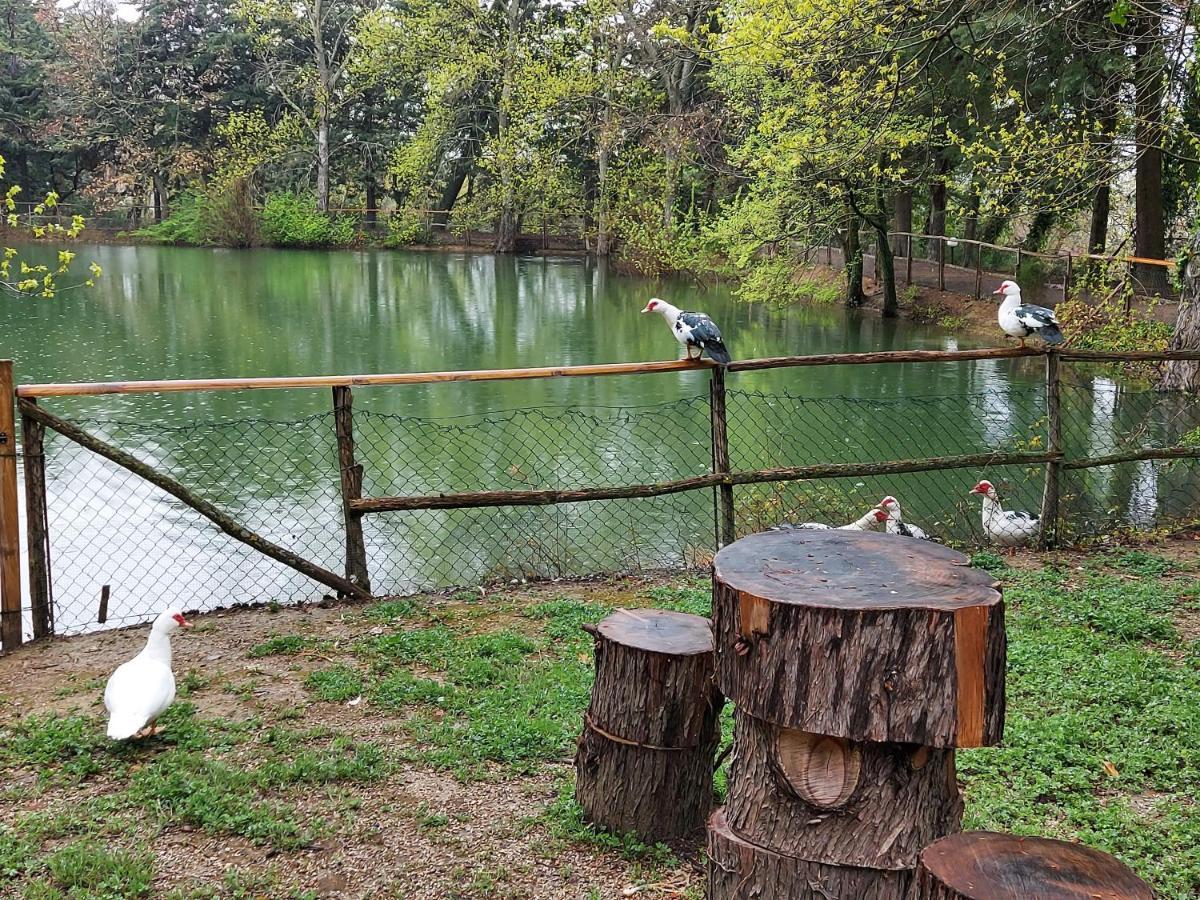 Bed and Breakfast Chiosi Country Club Корлеоне Екстер'єр фото